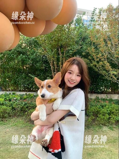 一不留神又被“17cc吃瓜”网址的八卦牵着鼻子走，心好累。