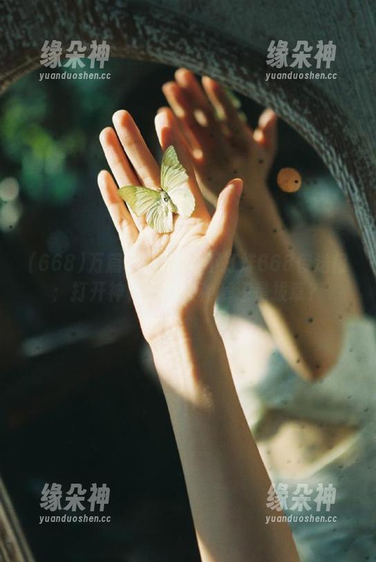 万篇长征-黑料不打烊668传送门：打开神秘世界，种草还是拔草？