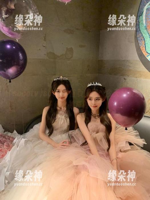 soootv首页探秘：今天又发现了什么神奇的瓜？