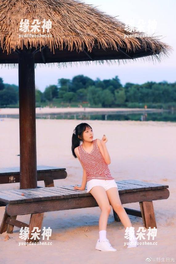 在‘www吃瓜网cc’共享欢乐，每个瓜背后都藏着故事！