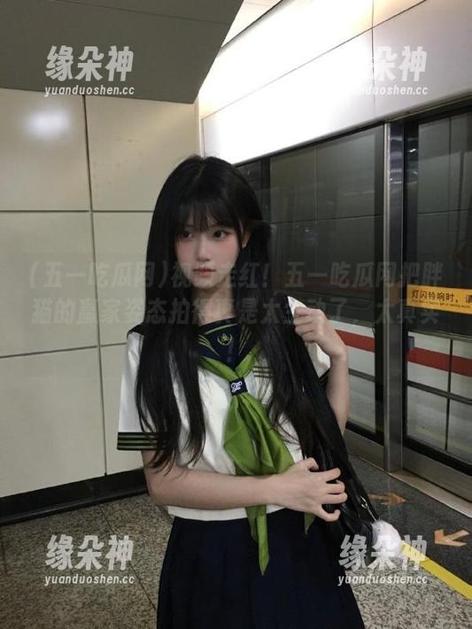 视频走红！五一吃瓜网把胖猫的赢家姿态拍得真是太生动了，太真实！