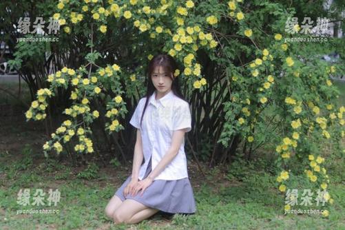 吃瓜17c导航：你绝对想不到的八卦背后那些事儿！