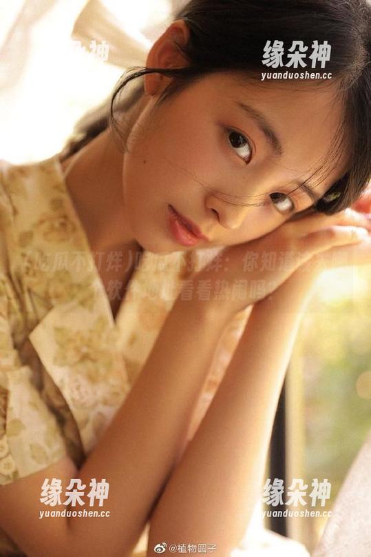 吃瓜不打烊：你知道该去哪个软件地址看看热闹吗？