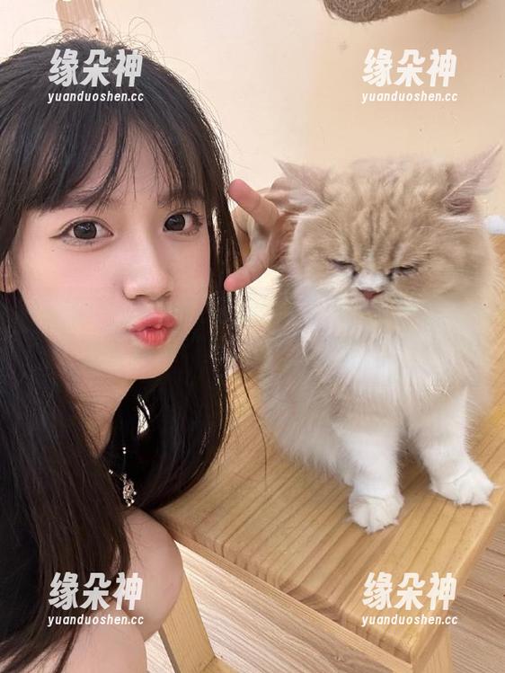 吃瓜网站盘点：最热门的大瓜，真是“瓜”里有“肉”！