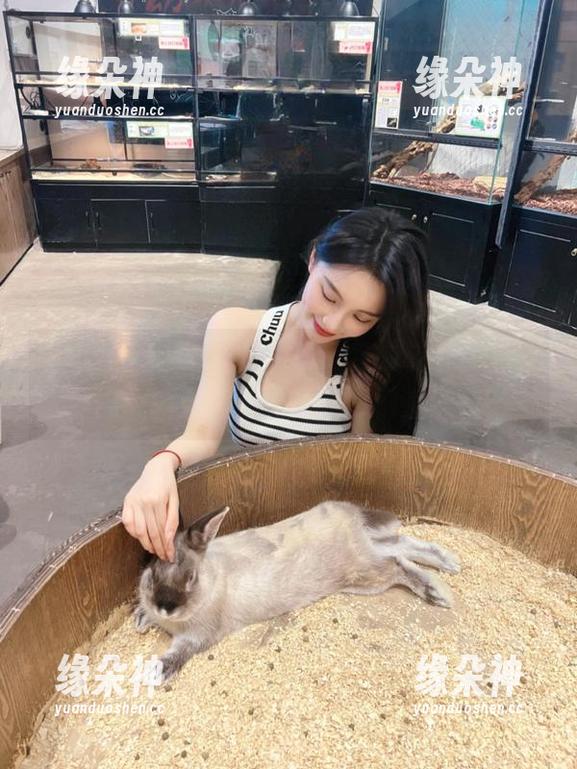 不是我说，免费吃瓜简直就是追剧的配菜！我要吃瓜网最懂我了