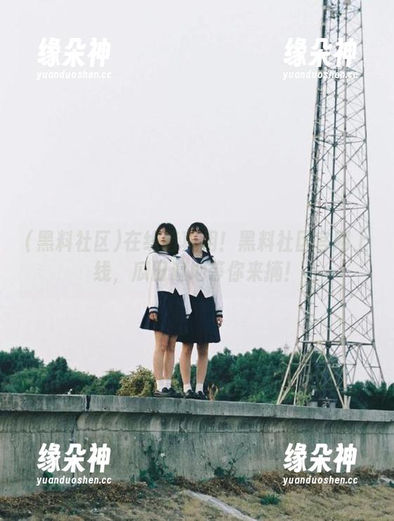 在线猎真相！黑料社区官网上线，瓜田遍地等你来摘！