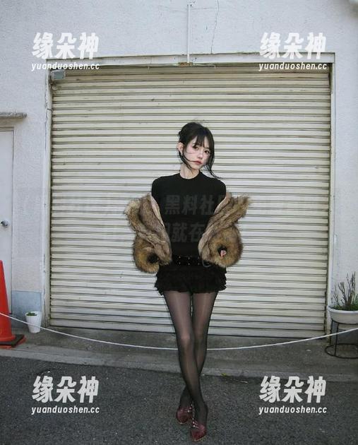 揭秘！黑料社区的免费官网入口，真相就在眼前！
